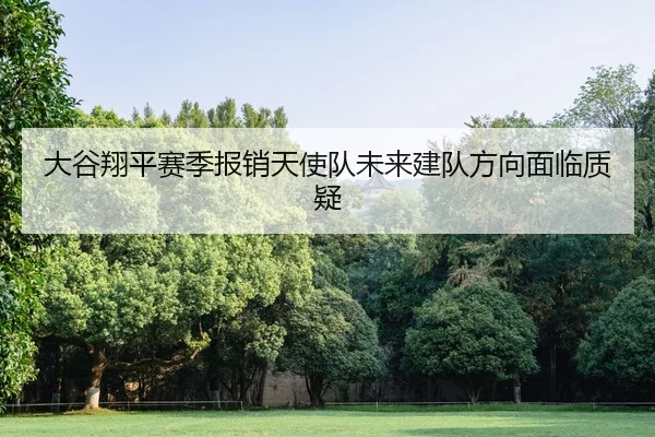 da-gu-xiang-ping-sai-ji-bao-xiao-tian-shi-dui-wei-lai-jian-dui-fang-xiang-mian-lin-zhi-yi-2-876.jpg