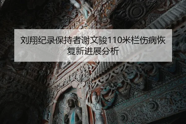 刘翔纪录保持者谢文骏110米栏伤病恢复新进展分析