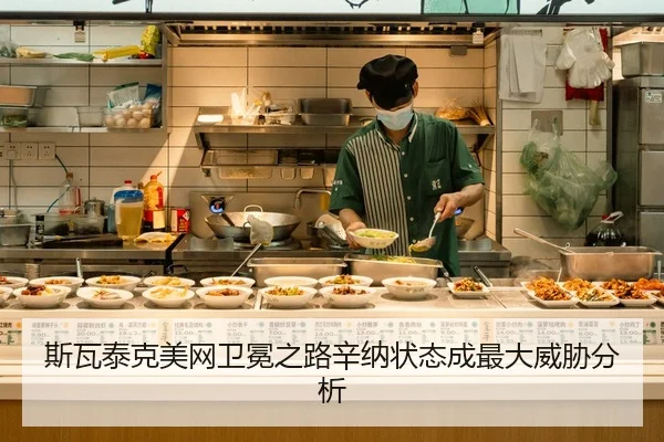 si-wa-tai-ke-mei-wang-wei-mian-zhi-lu-xin-na-zhuang-tai-cheng-zui-da-wei-xie-fen-xi-2-377.jpg