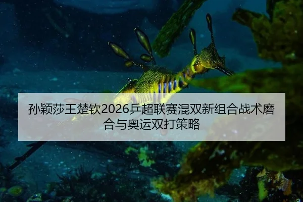 sun-ying-sha-wang-chu-qin-ping-chao-lian-sai-hun-shuang-xin-zu-he-zhan-shu-mo-he-yu-ao-yun-shuang-da-ce-lve-2-271.jpg