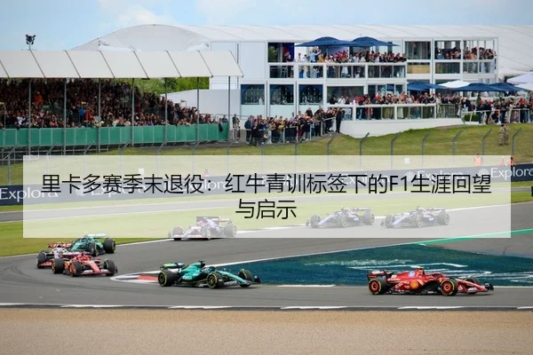 里卡多赛季末退役：红牛青训标签下的F1生涯回望与启示